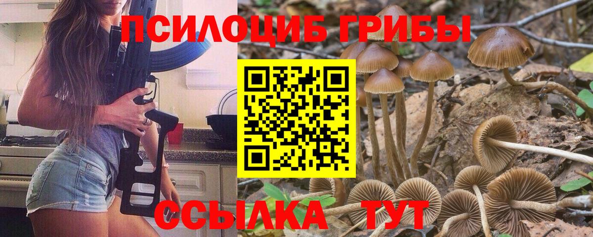 Галлюциногенные грибы ЛСД  Вход с VPN  Гуково 